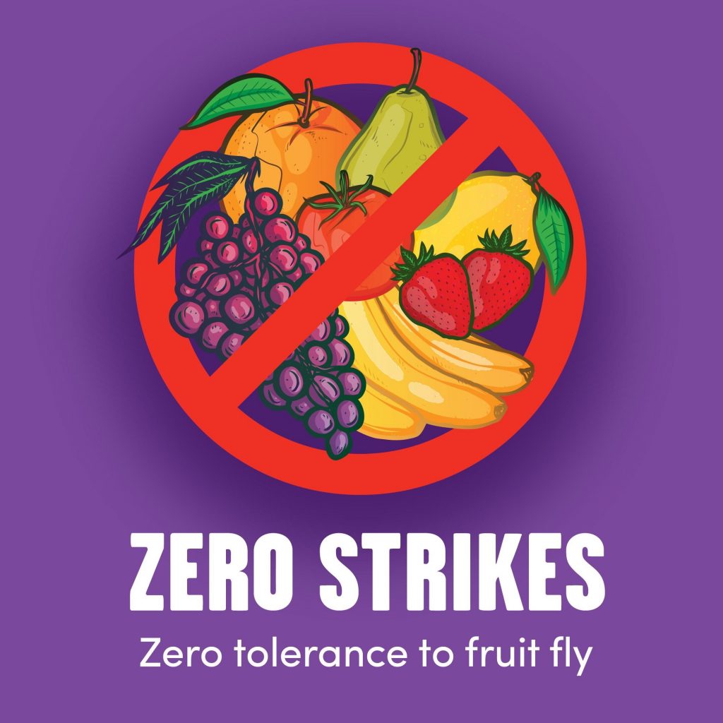 Zero Strikes
