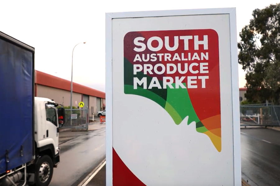 SA Produce Market Front Gate