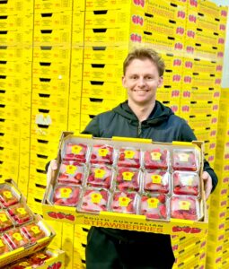 Man holds tray of SA strawberries