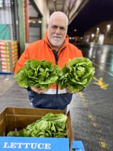 Man holding SA grown Cos Lettuce